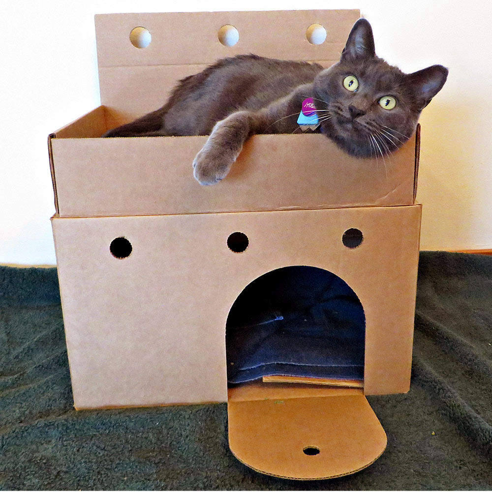 Castles for Shelter Cats